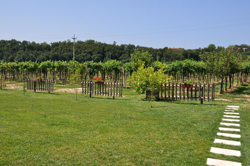 Agriturismo Ai Ciliegi 바르돌리노 외부 사진